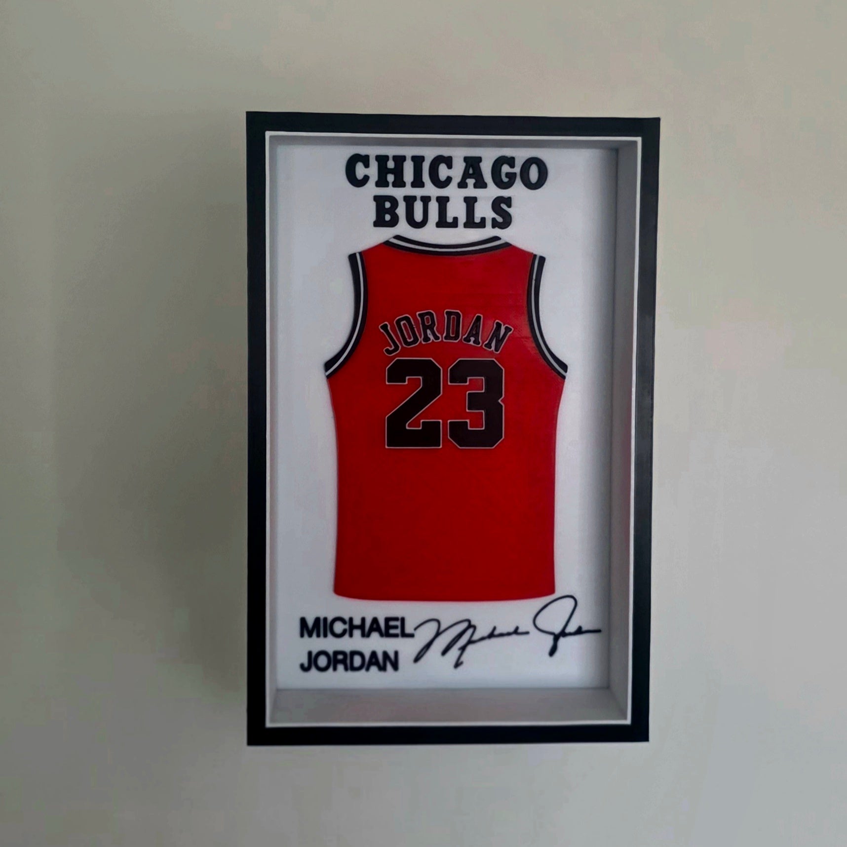 Michael Jordan Shadow Box